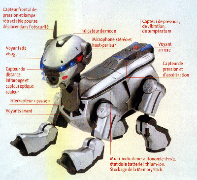 AIBO: